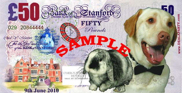 Stanford, Catherine & Scott -  Wedding Reception -  Bridgend